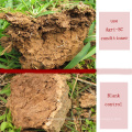 Newsun Agri-Sc Soil Improvement